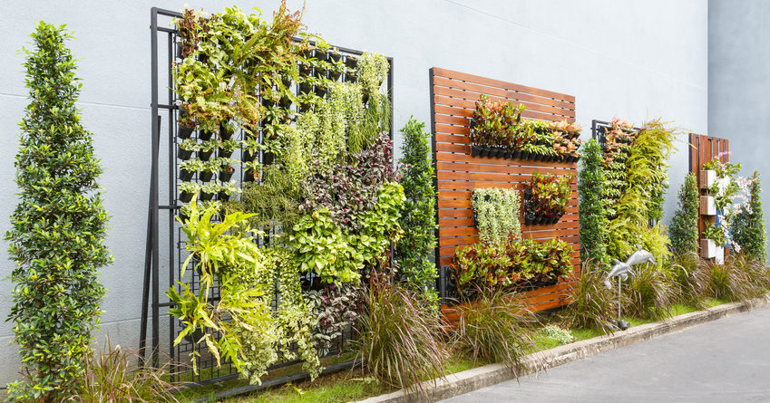 lindo jardim vertical composto por diversas plantas